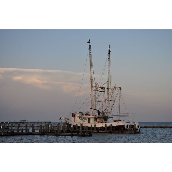 Nikon D5000 Digital SLR Camera 12.3MP 18-55mm Lens HD Video 6246 Clicks 32GB SD - Picture 7 of 16